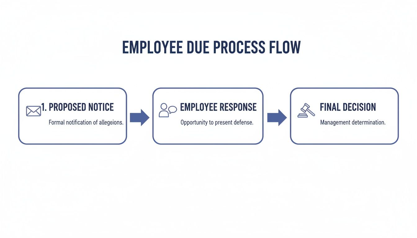 Flowchart illustrating the employee due process: proposed notice, employee response, and final decision.