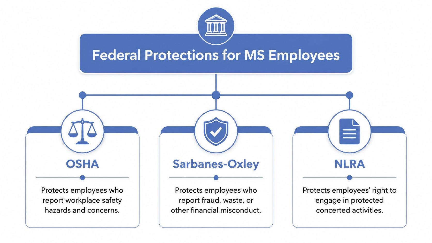 A flowchart titled Federal Protections for MS Employees, detailing protections under OSHA, Sarbanes-Oxley, and NLRA laws.