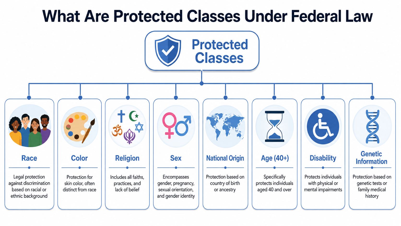 A diagram illustrating protected classes under federal law including race, religion, sex, age, disability, and genetic information.